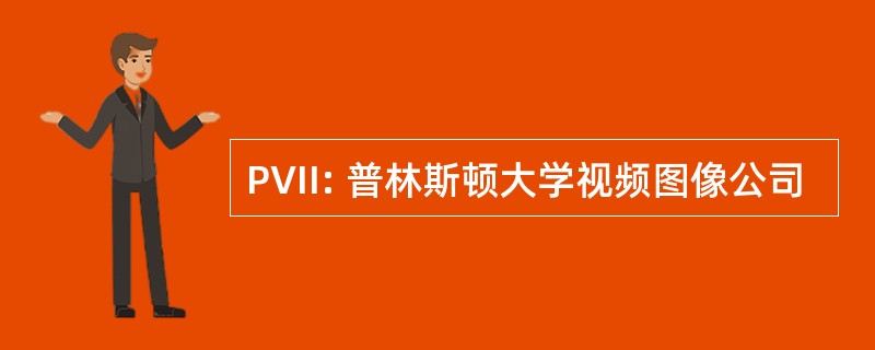 PVII: 普林斯顿大学视频图像公司