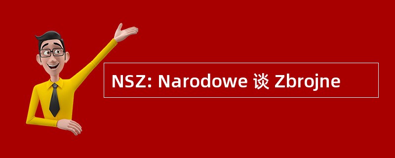 NSZ: Narodowe 谈 Zbrojne