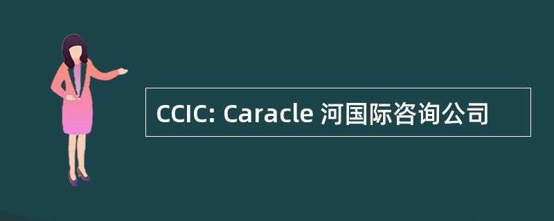 CCIC: Caracle 河国际咨询公司