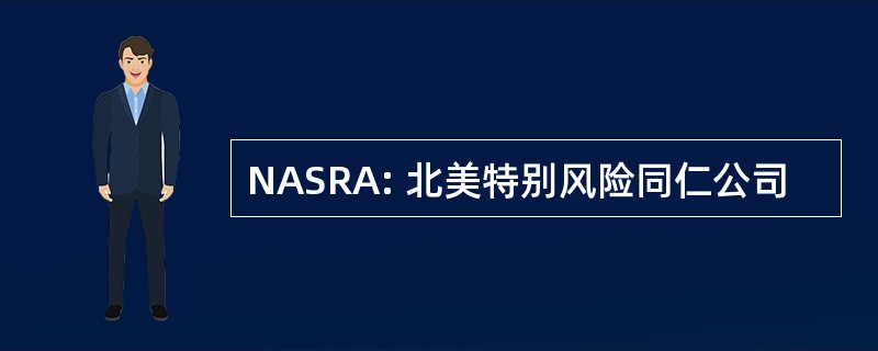 NASRA: 北美特别风险同仁公司