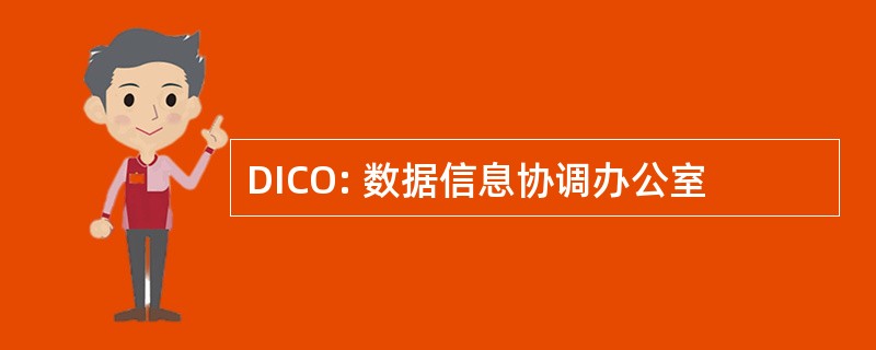 DICO: 数据信息协调办公室