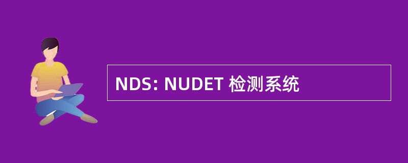 NDS: NUDET 检测系统