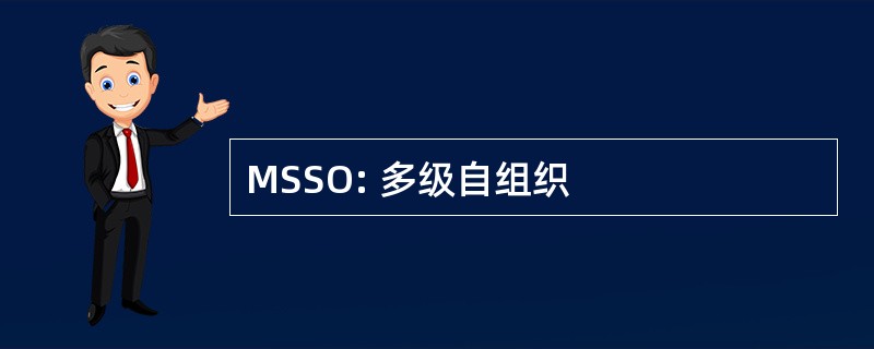 MSSO: 多级自组织