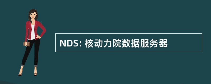 NDS: 核动力院数据服务器