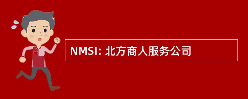 NMSI: 北方商人服务公司