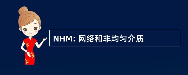 NHM: 网络和非均匀介质