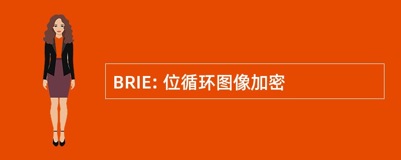 BRIE: 位循环图像加密