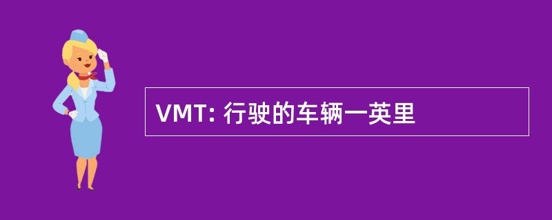 VMT: 行驶的车辆一英里