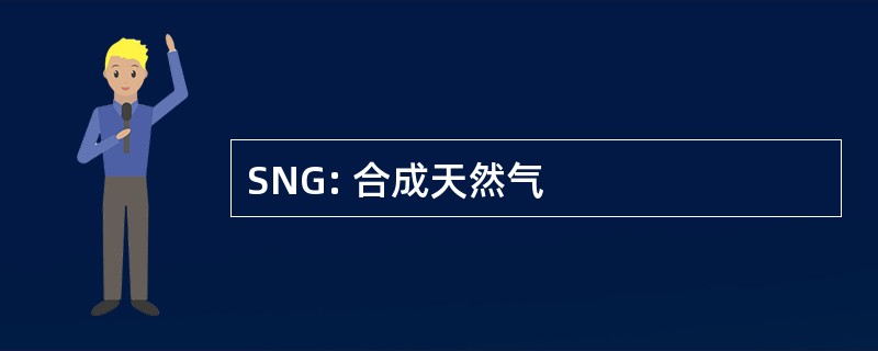 SNG: 合成天然气