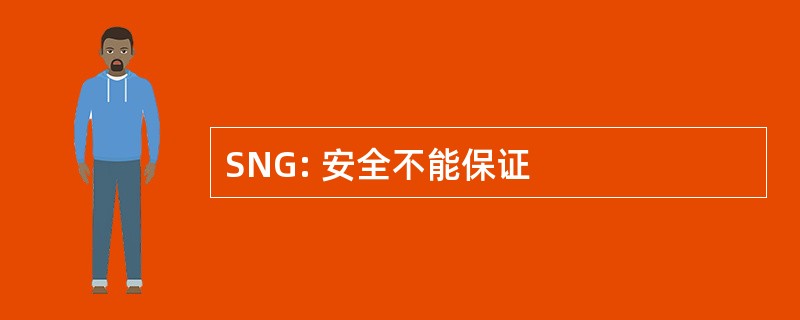 SNG: 安全不能保证