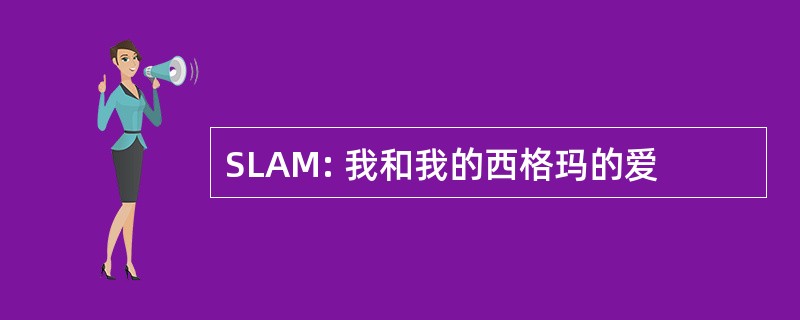 SLAM: 我和我的西格玛的爱