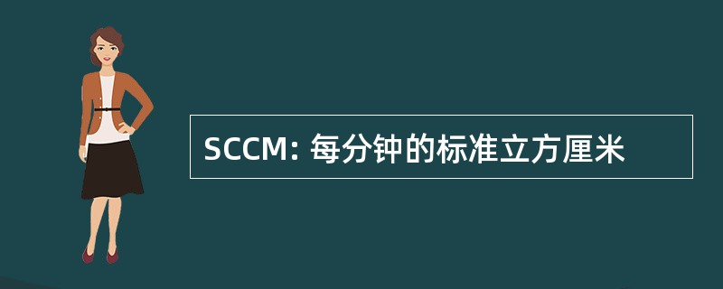 SCCM: 每分钟的标准立方厘米