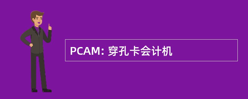 PCAM: 穿孔卡会计机