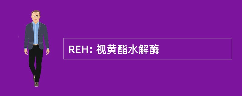 REH: 视黄酯水解酶