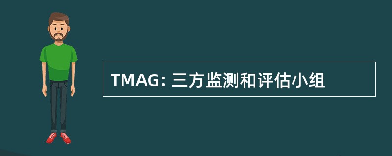 TMAG: 三方监测和评估小组