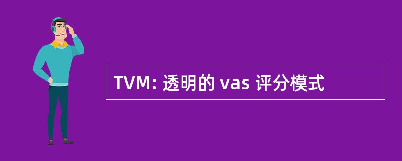 TVM: 透明的 vas 评分模式