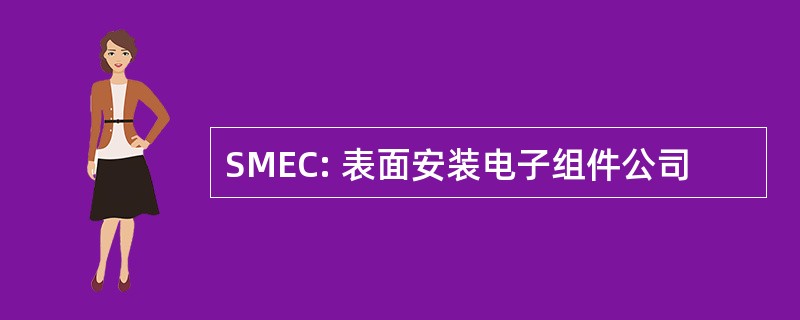 SMEC: 表面安装电子组件公司