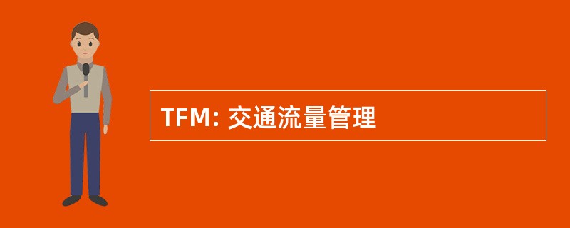 TFM: 交通流量管理