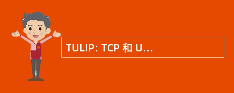 TULIP: TCP 和 UDP 在轻量级的互联网协议