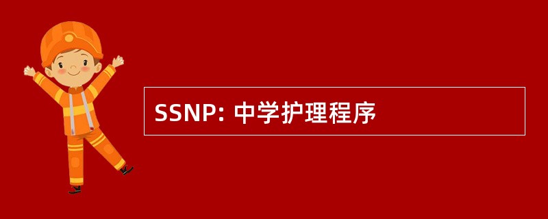 SSNP: 中学护理程序