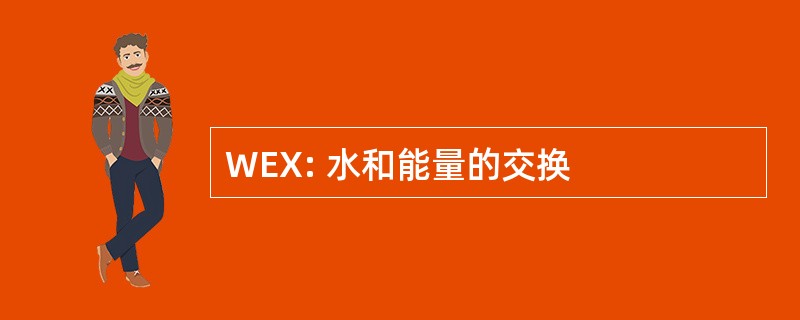 WEX: 水和能量的交换