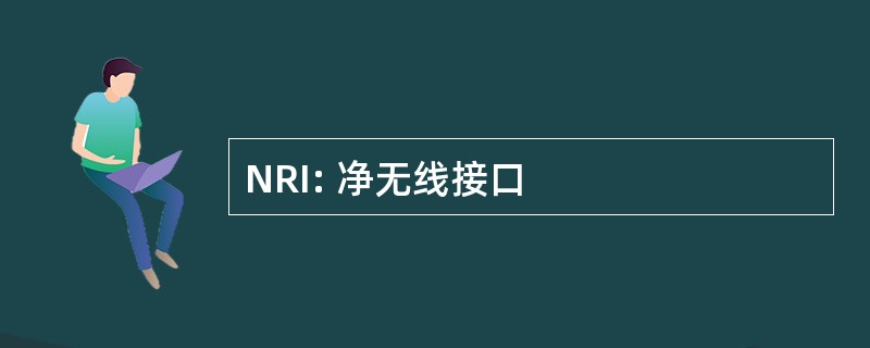 NRI: 净无线接口