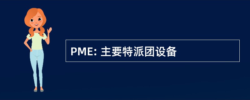 PME: 主要特派团设备