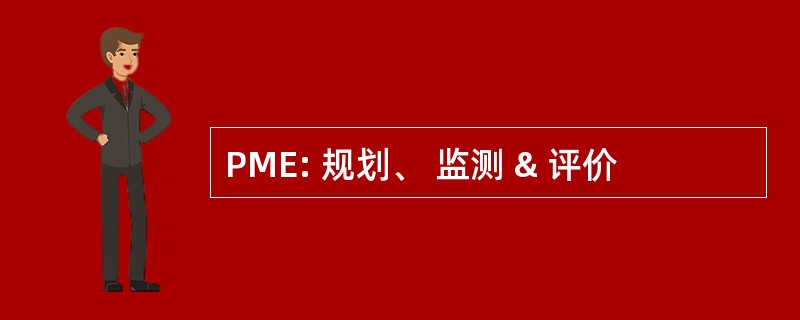 PME: 规划、 监测 & 评价