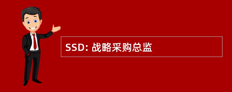 SSD: 战略采购总监