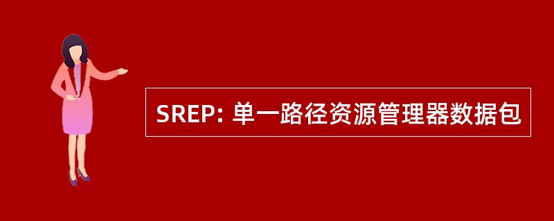 SREP: 单一路径资源管理器数据包