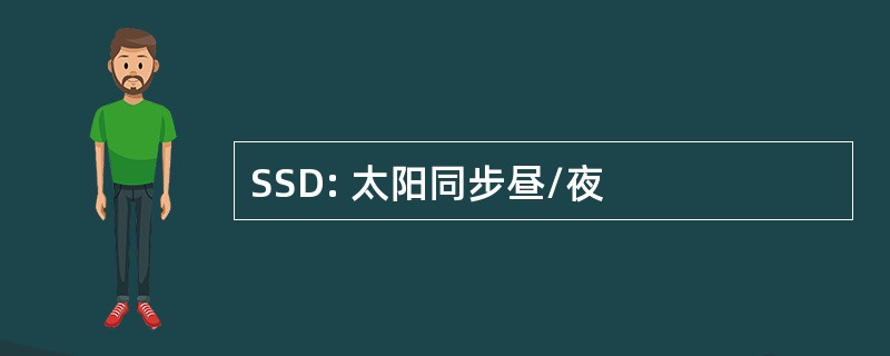 SSD: 太阳同步昼/夜