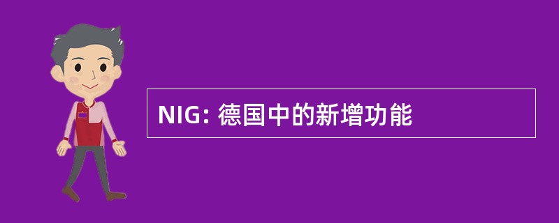 NIG: 德国中的新增功能