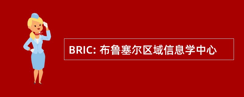 BRIC: 布鲁塞尔区域信息学中心