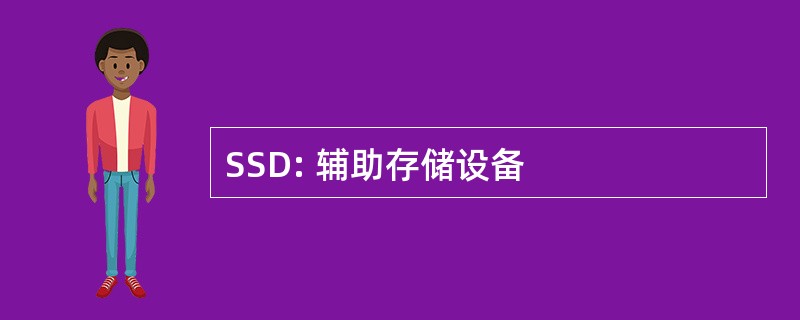 SSD: 辅助存储设备