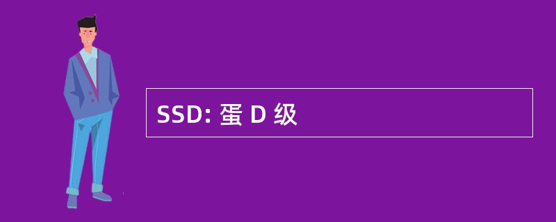 SSD: 蛋 D 级