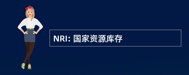 NRI: 国家资源库存