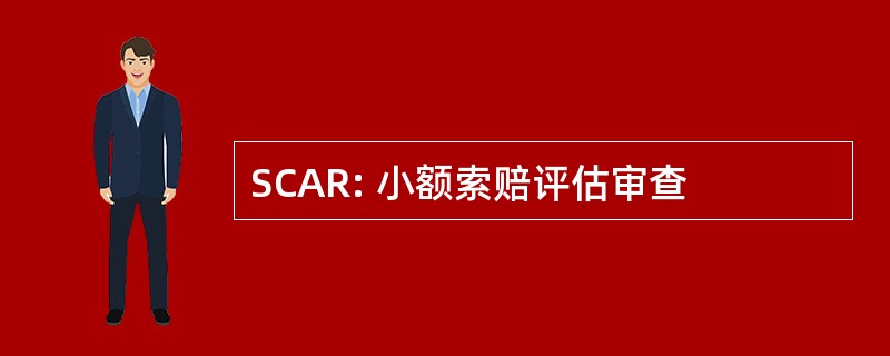 SCAR: 小额索赔评估审查