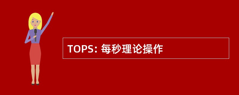 TOPS: 每秒理论操作