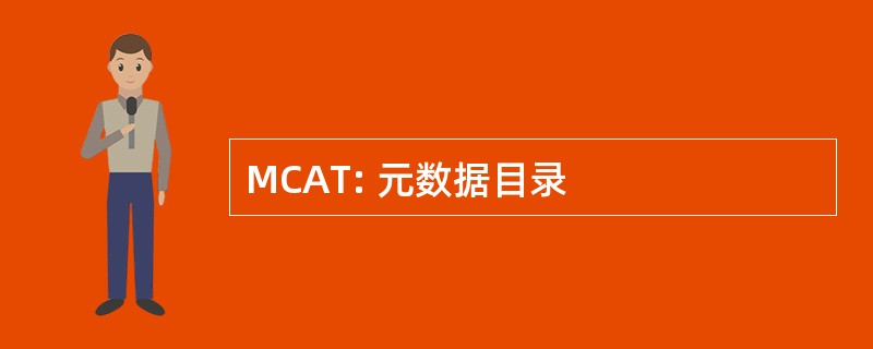 MCAT: 元数据目录