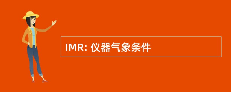 IMR: 仪器气象条件