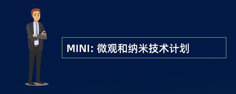 MINI: 微观和纳米技术计划