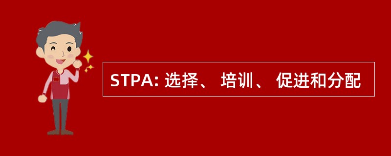 STPA: 选择、 培训、 促进和分配