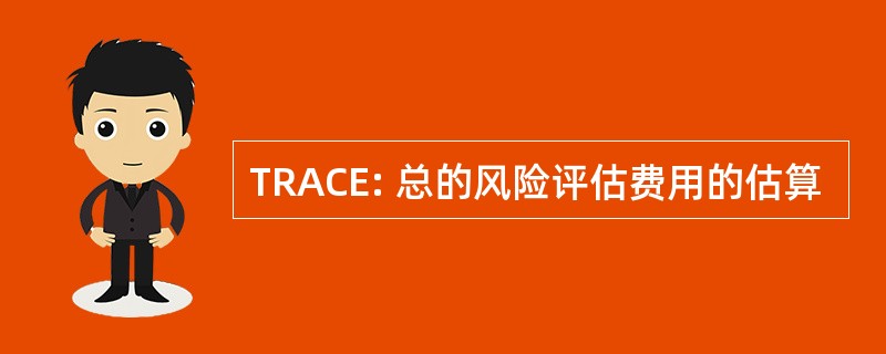 TRACE: 总的风险评估费用的估算