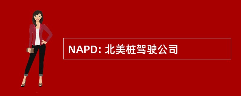 NAPD: 北美桩驾驶公司