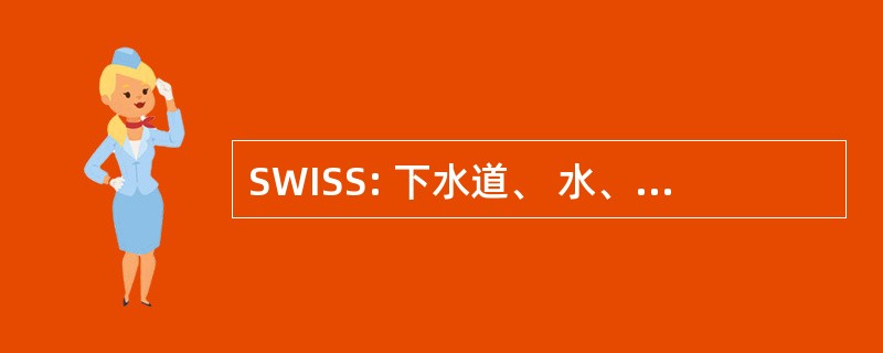 SWISS: 下水道、 水、 基础设施、 街道和人行道