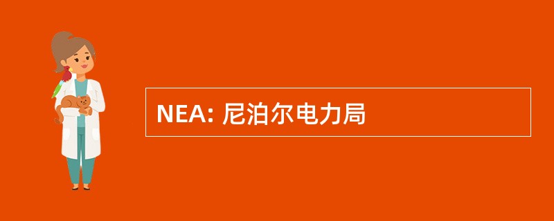 NEA: 尼泊尔电力局