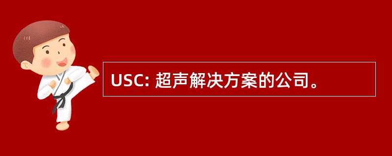 USC: 超声解决方案的公司。