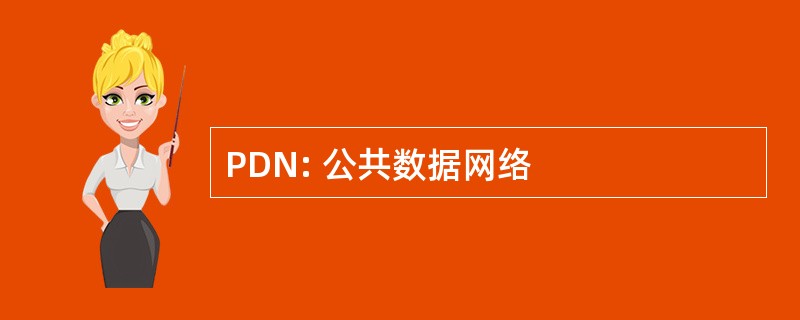 PDN: 公共数据网络