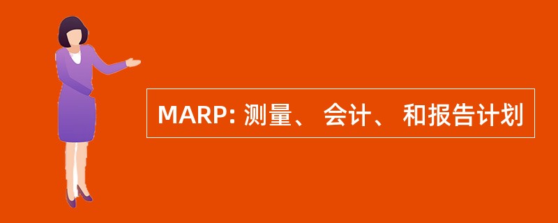 MARP: 测量、 会计、 和报告计划