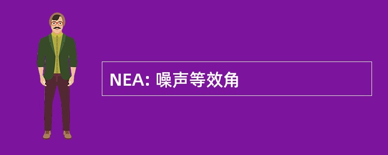 NEA: 噪声等效角